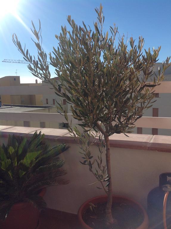 Villamari Apartment Alghero Luaran gambar